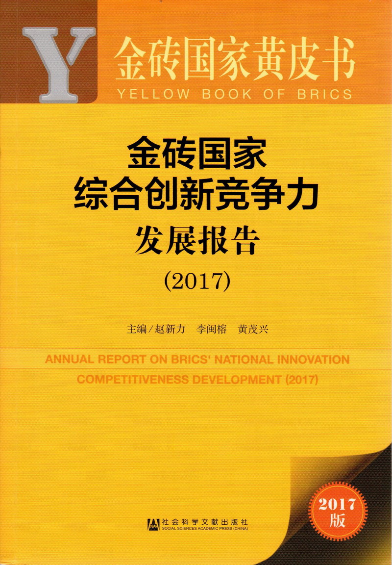 大鸡巴日寡妇小骚逼金砖国家综合创新竞争力发展报告（2017）